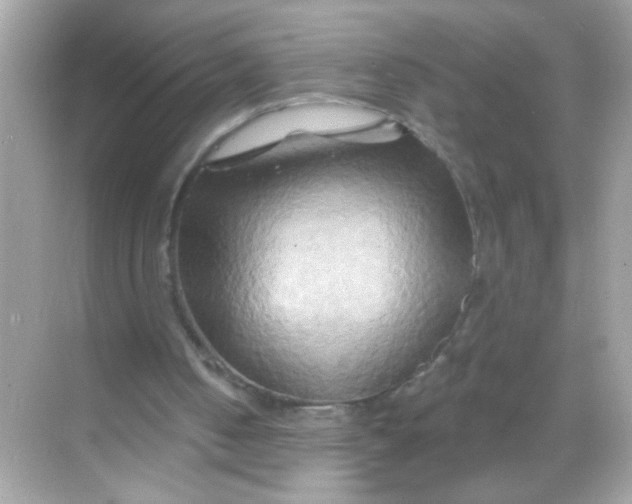 X0000068320050200605122107