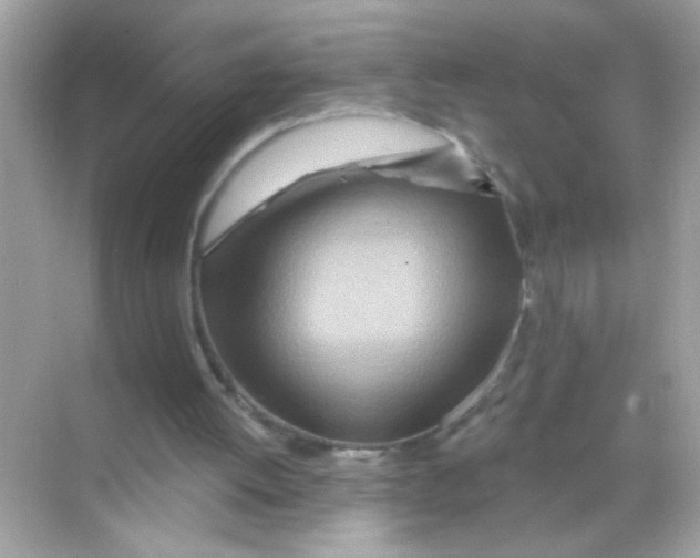 X0000068320052200605122107