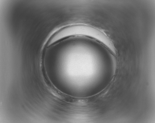 X0000068320056200605122107
