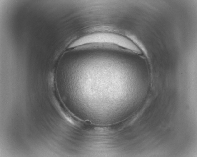 X0000068320057200605122107