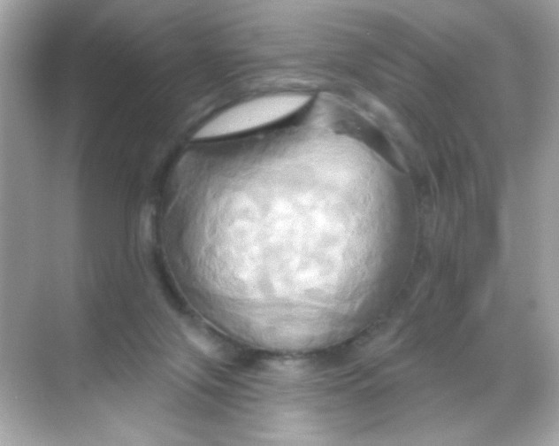 X0000068320071200605122107