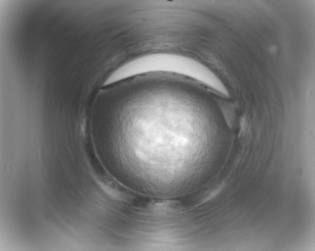 X0000068320072200605122107