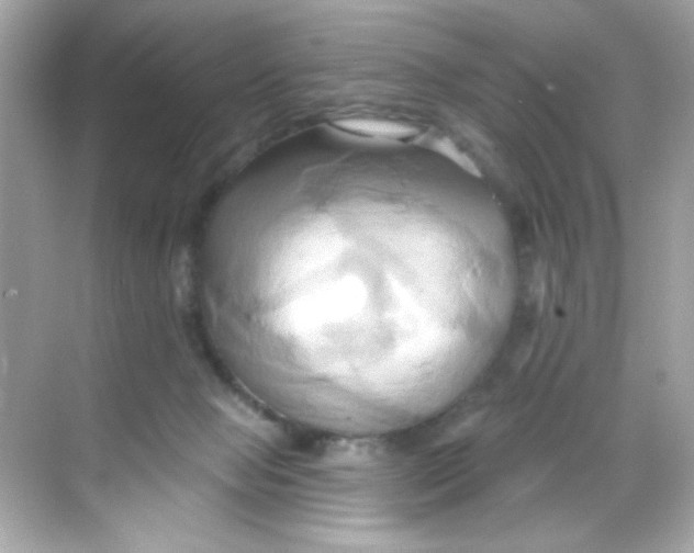 X0000068320077200605122107