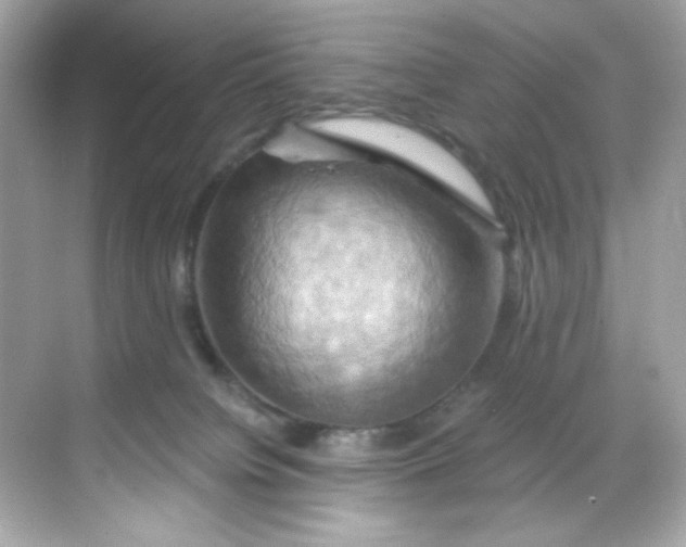 X0000068320084200605122107