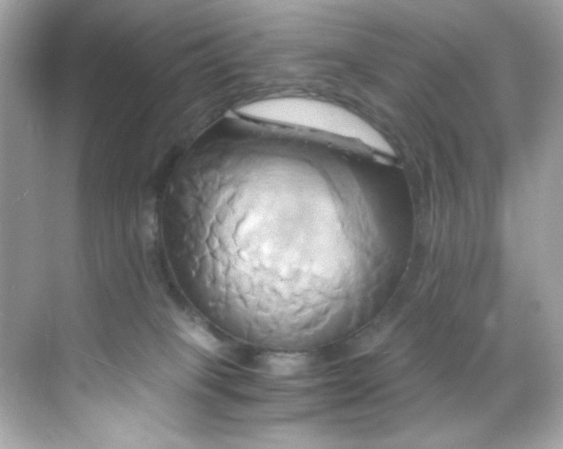 X0000068320085200605122107