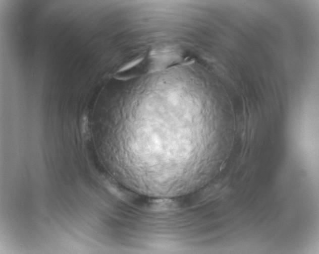 X0000068320087200605122107