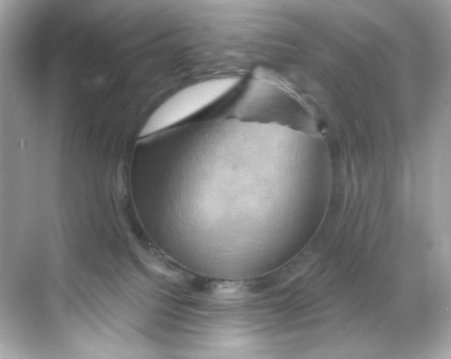 X0000068320088200605122107
