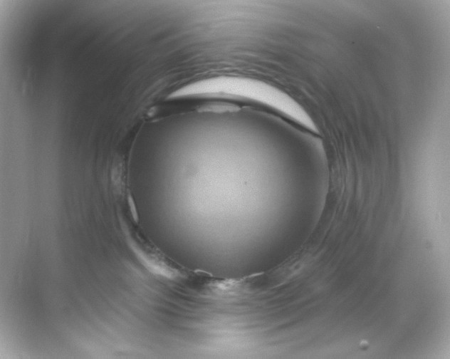 X0000068320092200605122107