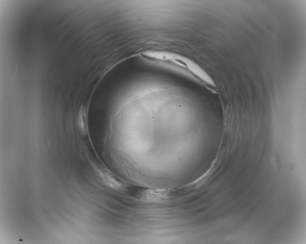 X0000068320094200605122107