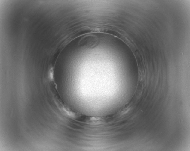 X0000068320095200605122107