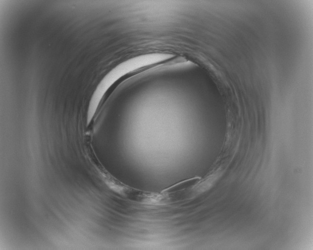 X0000068320096200605122108
