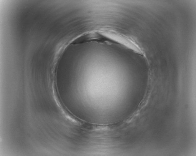 X0000068320097200605122107