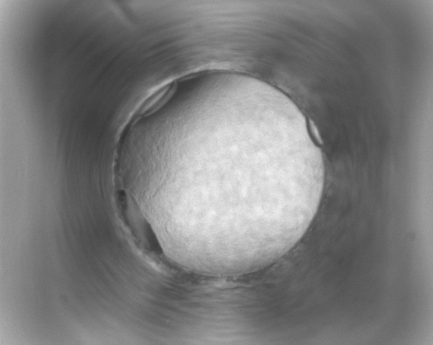 X0000068320098200605122107