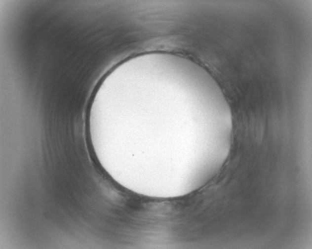 X0000068320100200605122107