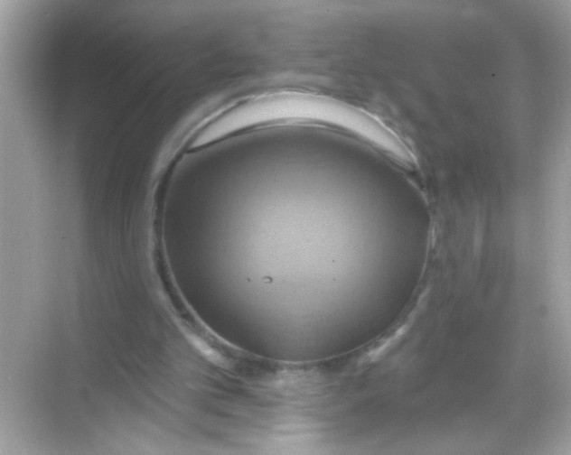 X0000068320101200605122107