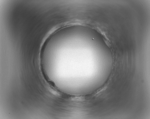 X0000068320102200605122107