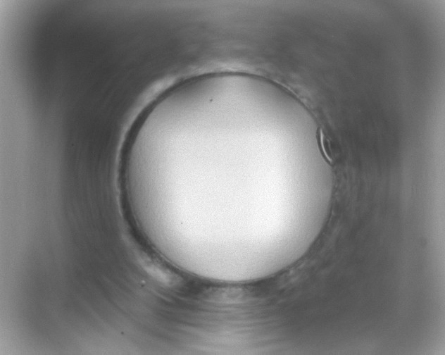 X0000068320104200605122107