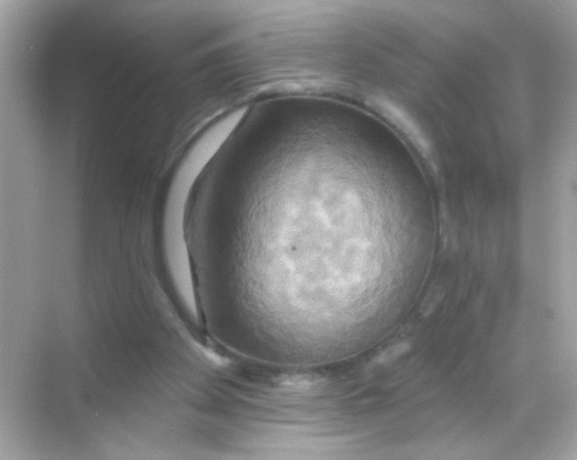 X0000068320105200605122107