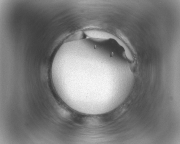 X0000068320106200605122107