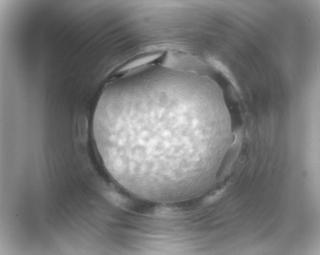 X0000068320109200605122106