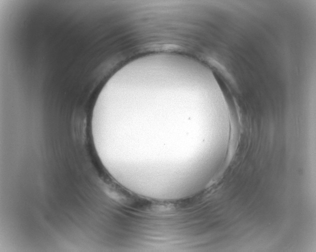 X0000068320110200605122106