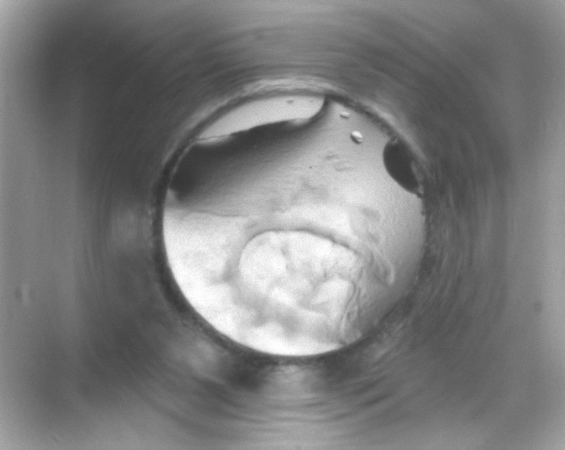 X0000068320111200605122106