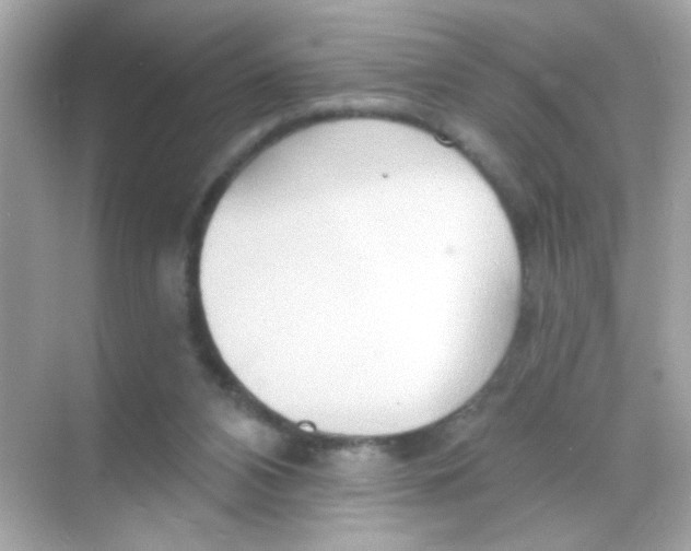 X0000068320112200605122106