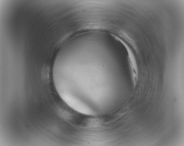 X0000068320115200605122106