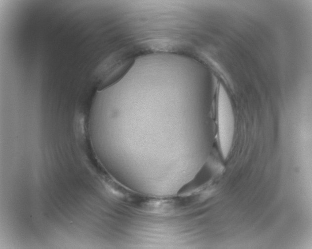 X0000068320117200605122106
