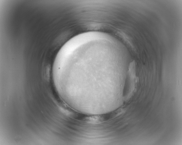 X0000068320118200605122106
