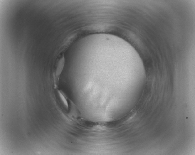 X0000068320119200605122106