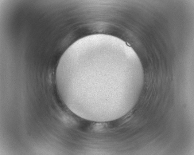 X0000068320126200605122106