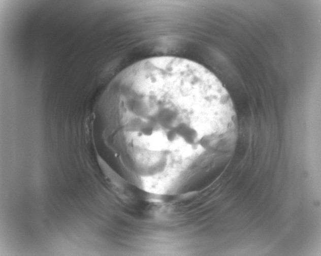 X0000068320127200605122106