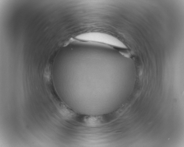 X0000068320129200605122106