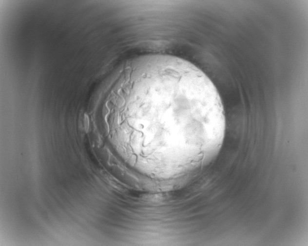 X0000068320131200605122106