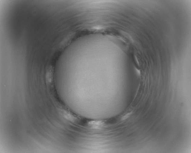 X0000068320133200605122106