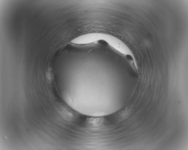 X0000068320135200605122106