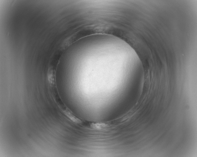 X0000068320137200605122106