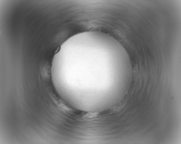 X0000068320138200605122106