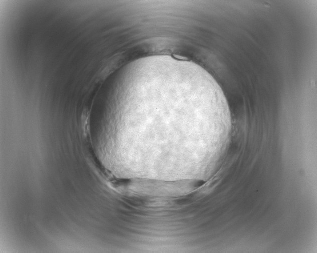 X0000068320142200605122106
