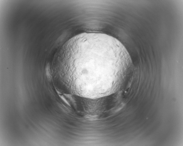 X0000068320143200605122106
