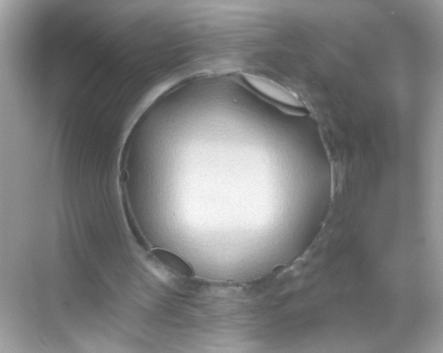 X0000068320147200605122105