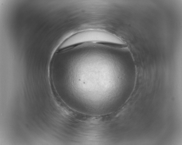 X0000068320148200605122105