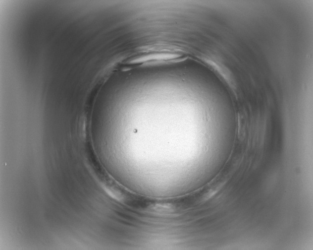 X0000068320157200605122105