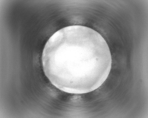 X0000068320162200605122105