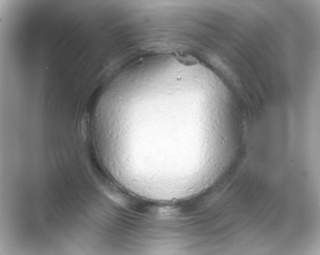 X0000068320165200605122105