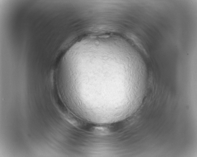 X0000068320167200605122105