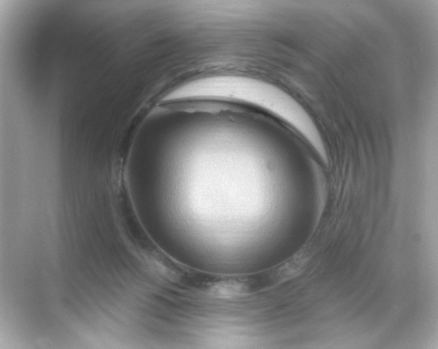 X0000068320168200605122105