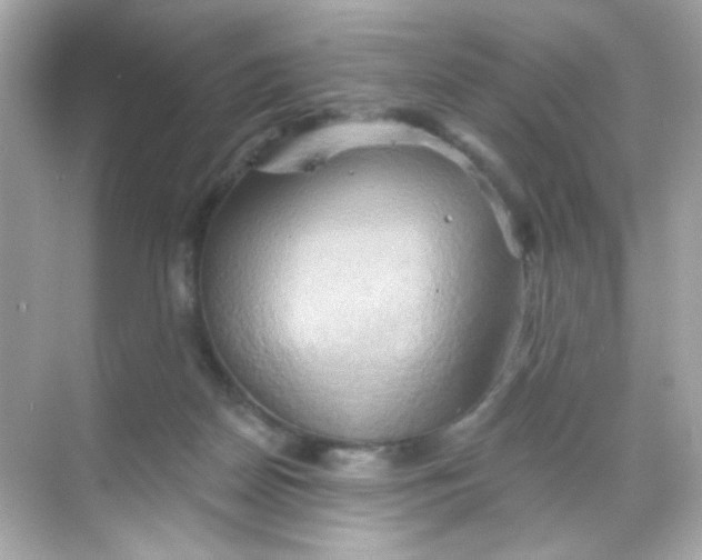 X0000068320170200605122106