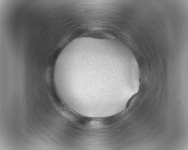 X0000068320171200605122106